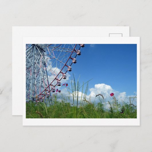 Kosmos Bloemen & reuzenrad: Japan Briefkaart (Voorkant / Achterkant)