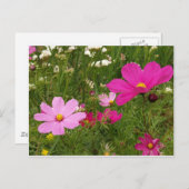 Kosmos Briefkaart (Voorkant / Achterkant)