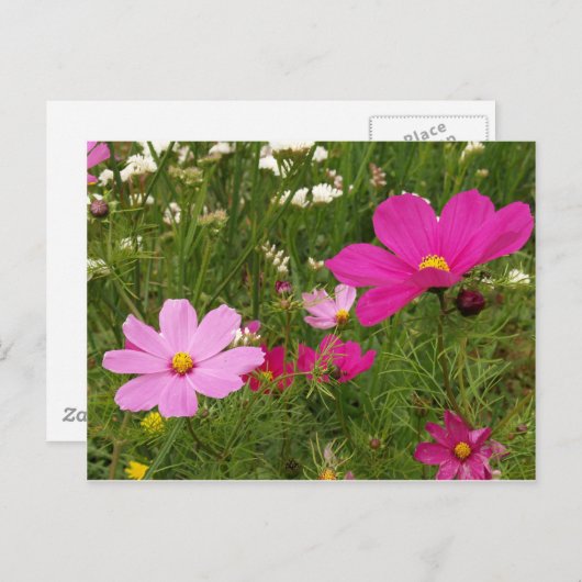 Kosmos Briefkaart (Voorkant / Achterkant)