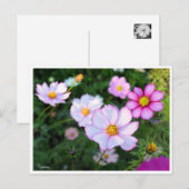 Kosmos [Briefkaart] Briefkaart (Voorkant / Achterkant)