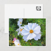 Kosmos [Briefkaart] Briefkaart (Voorkant / Achterkant)