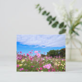 Kosmos [Briefkaart] Briefkaart (Staand voorkant)