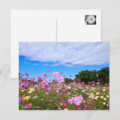 Kosmos [Briefkaart] Briefkaart (Voorkant / Achterkant)