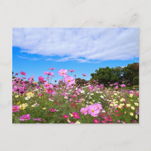 Kosmos [Briefkaart] Briefkaart (Voorkant)