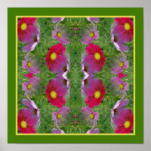 Kosmos Daisy Flowers spiegelen Abstracte Natuur Poster (Voorkant)
