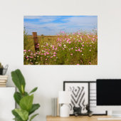 Kosmos Flowers in het veld Poster (Thuiskantoor)