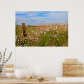 Kosmos Flowers in het veld Poster (Keuken)