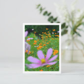 Kosmos Flowers: Japan Briefkaart (Staand voorkant)