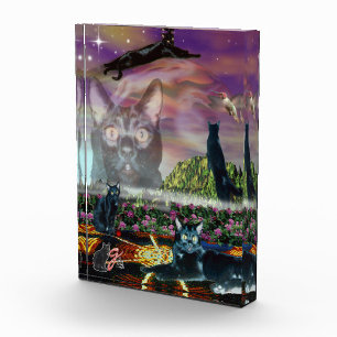 Kosmos Kleur Illustratie Acryl Blok