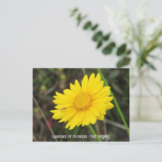 Kosmos met Briefkaart bij bijen (Staand voorkant)