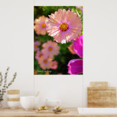 Kosmos [Poster] Poster (Keuken)