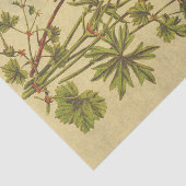 Kosmos  ventilator Rustic-ontkoppeling Tissuepapier (Detail)