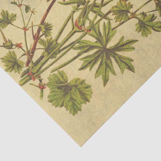 Kosmos  ventilator Rustic-ontkoppeling Tissuepapier (Detail)