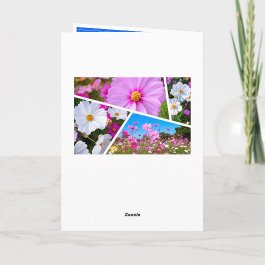 Kosmos [Wenskaart] カ ー ド Kaart (Achterkant)