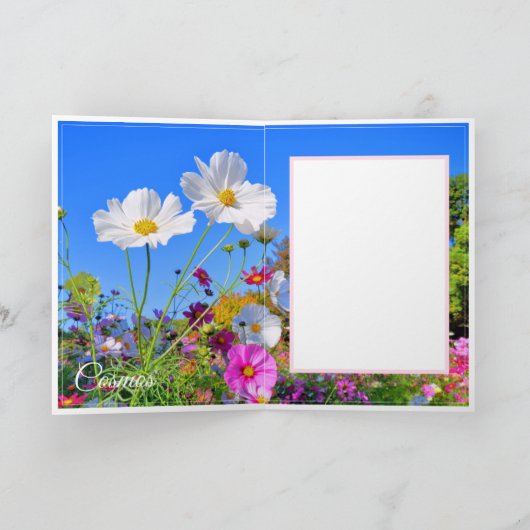 Kosmos [Wenskaart] カ ー ド Kaart (Binnen)