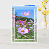 Kosmos [Wenskaart] カ ー ド Kaart (Gele Bloem)