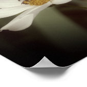 kosmosbloemen en bijen poster (Hoek)