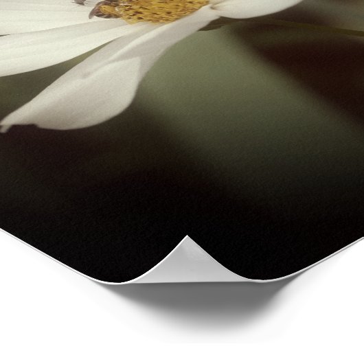 kosmosbloemen en bijen poster (Hoek)