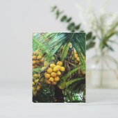 kosnoten op de boom briefkaart (Staand voorkant)