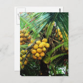 kosnoten op de boom briefkaart (Voorkant / Achterkant)