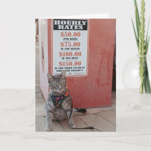 Kost je kat Notecard Aankondiging (Voorkant)