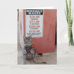 Kost je kat Notecard Aankondiging