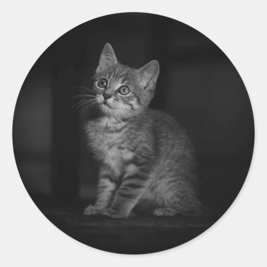 Kostbaar Kitten  Ronde Sticker (Voorkant)