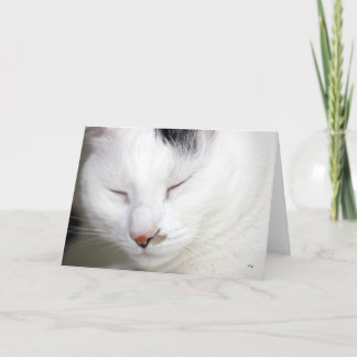 Kostbare 2, worden goed spoedig kaart