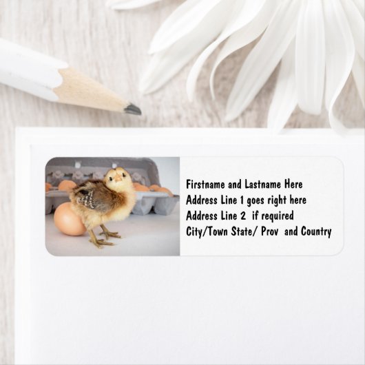 Kostbare Baby Chick en Eggs Etiket (Insitu)