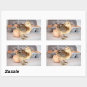 Kostbare Baby Chick en Eggs Rechthoekige Sticker (Vel)