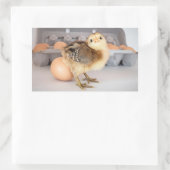 Kostbare Baby Chick en Eggs Rechthoekige Sticker (Tas)