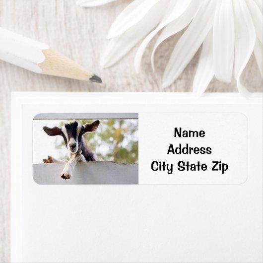 KOSTBARE BABY GEIT ADRESETIKETTEN ETIKET (Insitu)