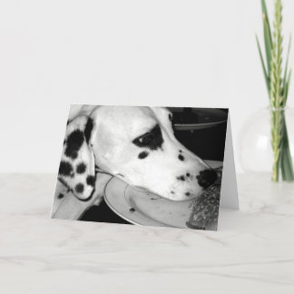 Kostbare Dalmation Kaart