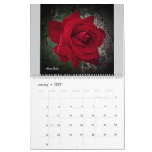 Kostbare Rozen 2026 Muurkalender door Stan VG Kalender (Jan 2027)