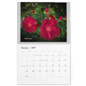 Kostbare Rozen 2026 Muurkalender door Stan VG Kalender (Feb 2027)