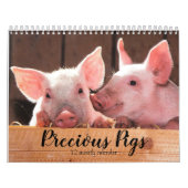 Kostbare Varkens 2026 Kalender (Hoes)