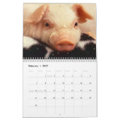 Kostbare Varkens 2027 Kalender (Feb 2027)
