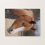 Kostnoot-Arabisch Legpuzzel (Horizontaal)