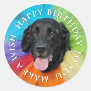 Kostuum zwart lab Gelukkige Verjaardag Ronde Sticker
