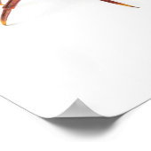 kotelekrab poster (Hoek)