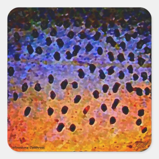 Kotelforel - Stickers (Voorkant)