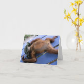 Kou uit voor Beste Papa Kaart (Gele Bloem)