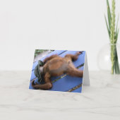 Kou uit voor Beste Papa Kaart (Voorkant)