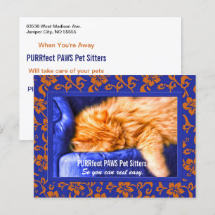 Kouch Kat Custom Pet Sitter's Adverteren Postca Briefkaart