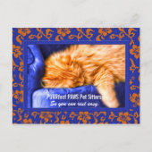 Kouch Kat Custom Pet Sitter's Adverteren Postca Briefkaart (Voorkant)