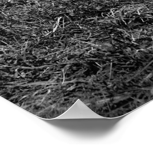 Koud Harbour-slachtoffers: 1865 Poster (Hoek)