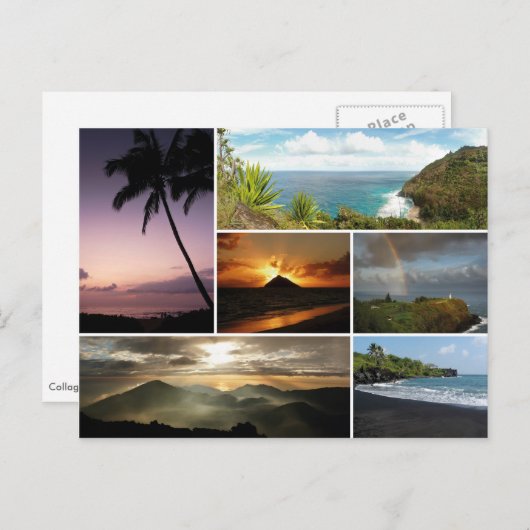 Koudbuis van Hawaï Briefkaart (Voorkant / Achterkant)