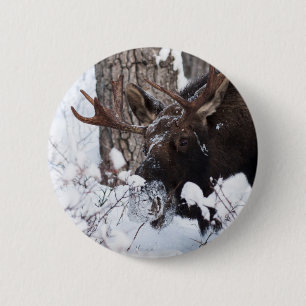 Koude Eland Ronde Button 5,7 Cm