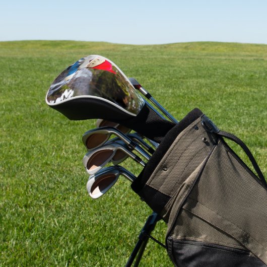 Koude Herfsten Gnome Golfheadcover (Insitu)