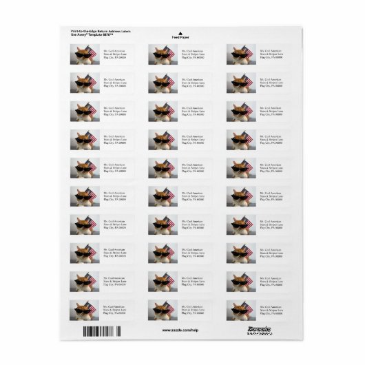 Koude kat met Amerikaanse labels voor het retourad (Full Sheet)